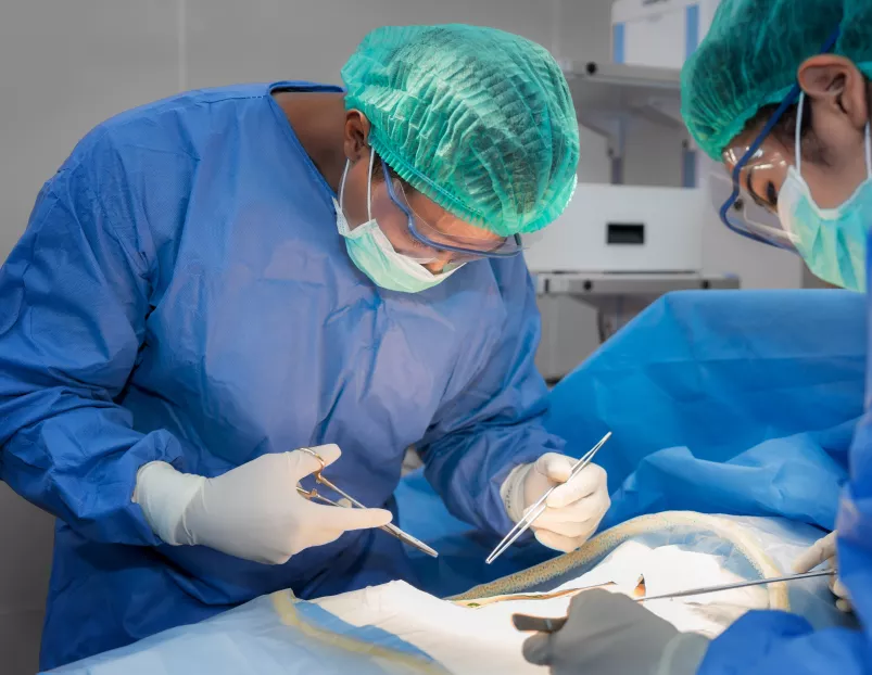 Chirurgie vasculaire